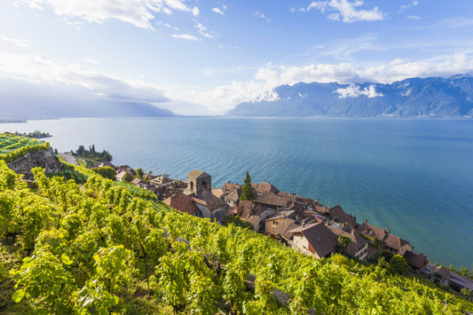 Discovering Maxilly-sur-léman: A Hidden Gem In France