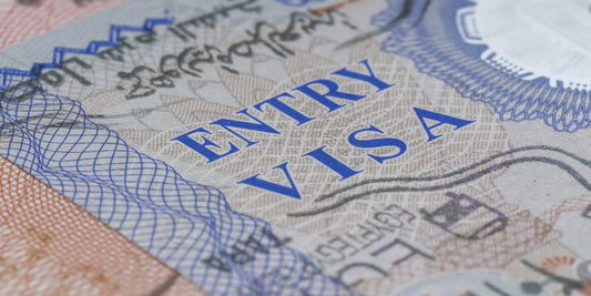 The Essential Guide To Travel Visa Photos