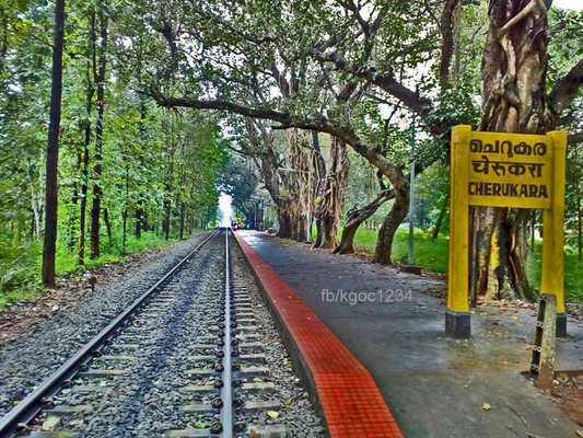 Cherakara: A Hidden Gem In The Heart Of Nature