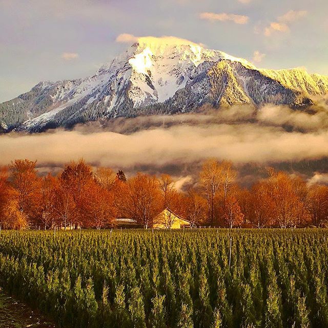 Discovering Cheam: A Hidden Gem In The United Kingdom