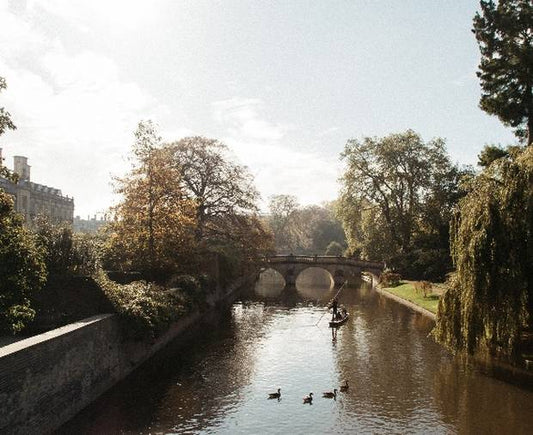 Cambridge's Hidden Gardens: A Green Oasis In The City