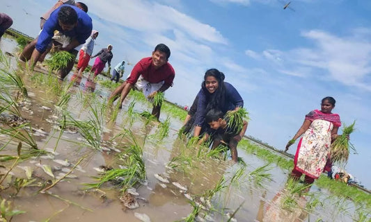 Discovering Murukondapadu: A Hidden Gem In India