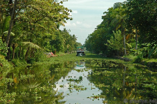 Kottayam's Backwaters And Houseboat Experiences