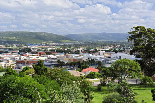 Top Local Dishes To Try In Uitenhage, South Africa