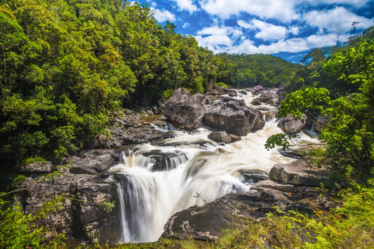 Discovering Ranomafana: A Hidden Gem In Madagascar