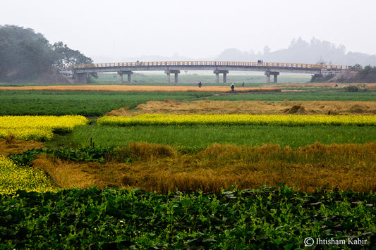 Discovering Narsingdi: A Hidden Gem In Bangladesh