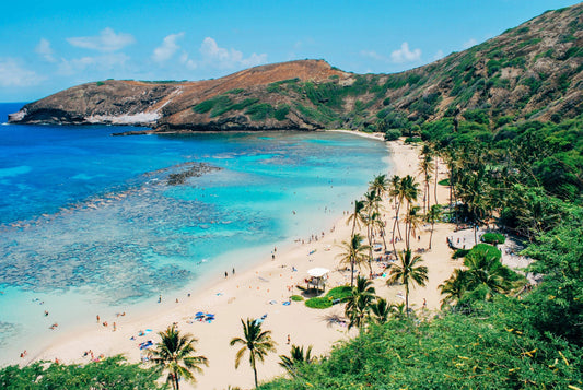 Travel To Hawaii: A Tropical Paradise Awaits