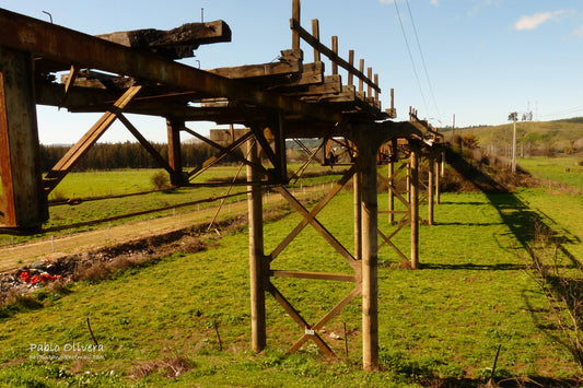 Discovering Coelemu: A Hidden Gem In Chile