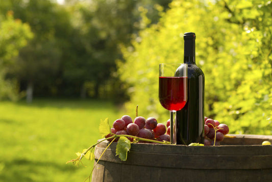 Nashik Wine Tours: A Journey Through India's Wine Capital