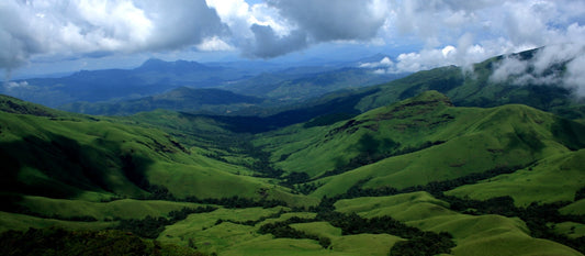 Discover Chikmagalur: A Hidden Gem In Karnataka