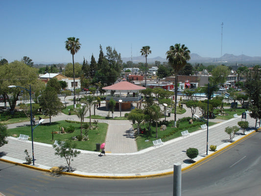 The History And Architecture Of Pabellón De Arteaga