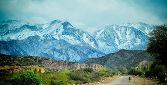 Chilecito: A Hidden Gem In Argentina