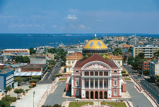 Top 10 Must-visit Attractions In Manaus