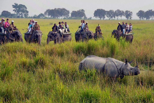 Discovering Assamannur: A Hidden Gem In Kerala