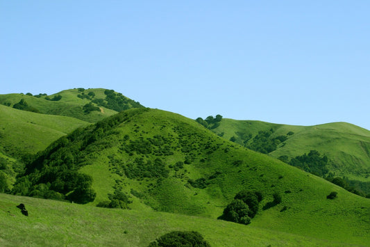 Best Viewpoints In Colinas For Photography