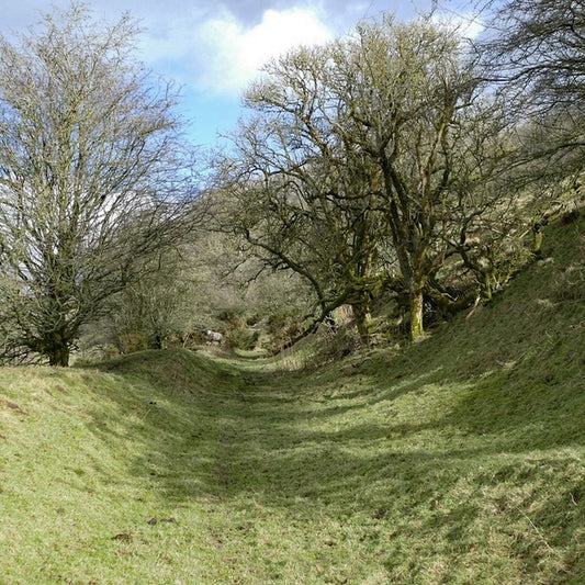 Offa's Dyke: A Comprehensive Hiking Guide