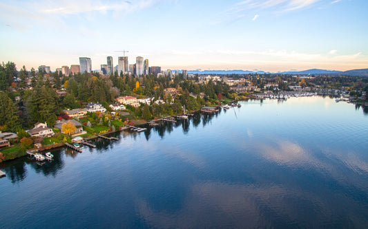 Hidden Gems In Bellevue, Washington