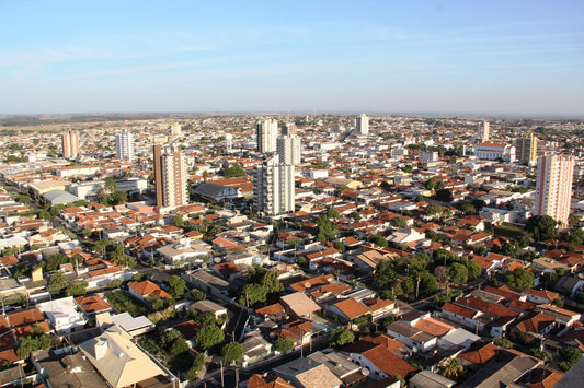 Local Cuisine Highlights In Fernandópolis