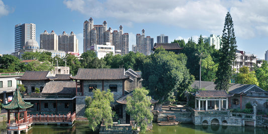 Discovering Dongguan: A Hidden Gem In China