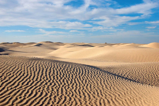 Metlili Chaambas: A Unique Desert Landscape