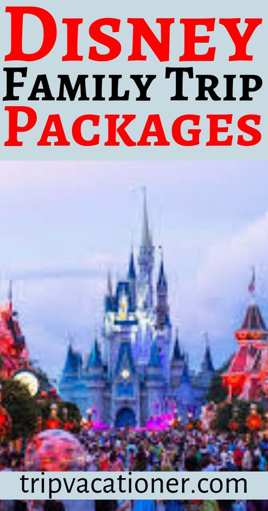 The Ultimate Guide To Disney Travel Packages