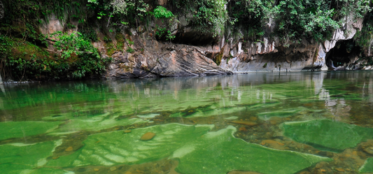 Discovering Rio Claro: A Hidden Gem In Brazil