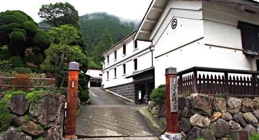 Sake Tasting Experiences In Japan