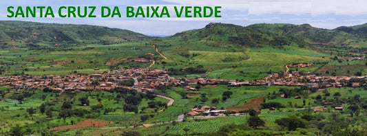 Discovering Santa Cruz Da Baixa Verde: A Hidden Gem In Brazil