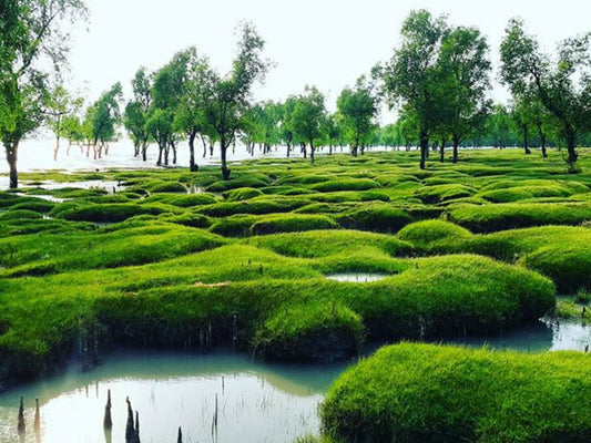 Sitakund: A Hidden Gem In Bangladesh