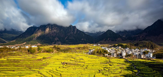 Discovering Hidden Gems In Jixi, China