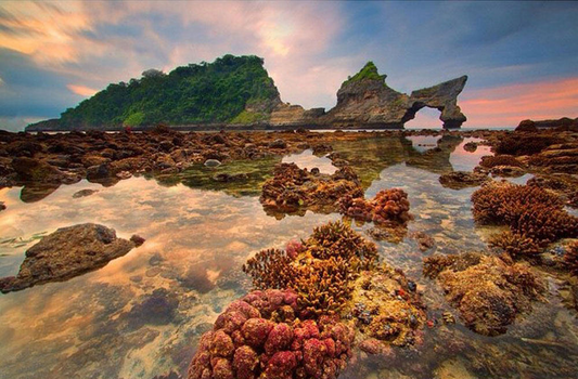 Cilacap's Hidden Beaches: A Coastal Paradise Awaits