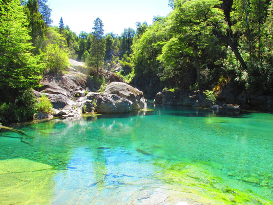 Discovering El Bolsón: A Hidden Gem In Argentina