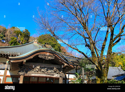 Discovering Kokubunji's Hidden Local Eateries