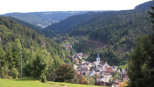 Discovering Lauterbach: A Hidden Gem In The Schwarzwald