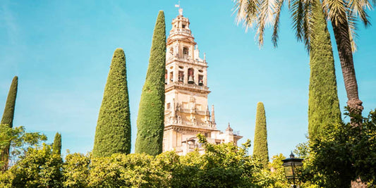 Hidden Gems In Córdoba's Historic District