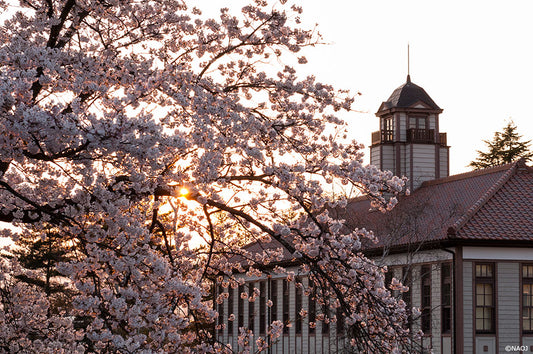 Discovering Oshu: A Hidden Gem In Japan