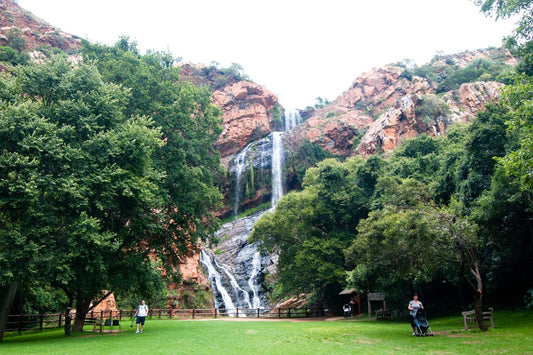 Discovering Roodepoort: Top Attractions And Activities