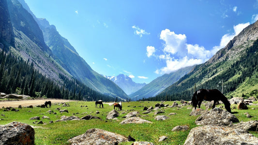 Top Attractions In Talas, Kyrgyzstan