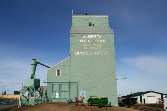 Top Parks And Outdoor Activities In Spruce Grove