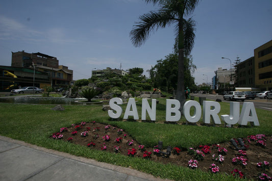 Discovering San Borja: A Hidden Gem In Lima, Peru