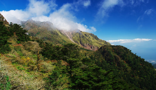 Discovering Minamishimabara: A Hidden Gem In Japan