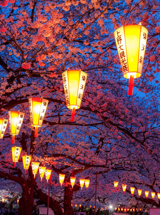 Sakura Festivals Around The World: A Celebration Of Beauty And Culture