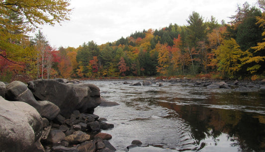 Discovering Rawdon: A Hidden Gem In Quebec