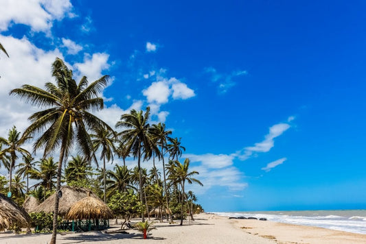 Discovering Dibulla: A Hidden Gem On Colombia's Caribbean Coast