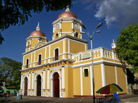 Discovering The Local Cuisine Of Villa De Cura, Venezuela