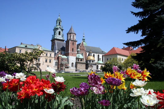 Top 10 Must-see Attractions In Jasło, Poland