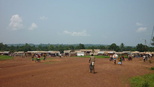 Discovering Bangassou: A Hidden Gem In The Central African Republic