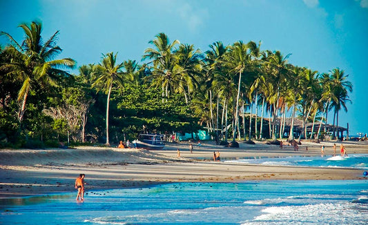 Top Beaches In Barra Dos Coqueiros