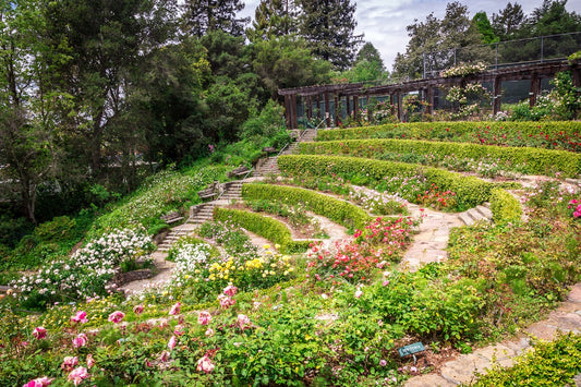 Top 10 Must-visit Spots In Berkeley, California