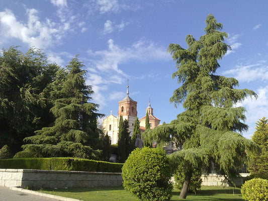 Discover Getafe: A Hidden Gem Near Madrid